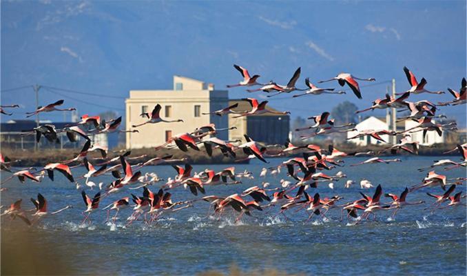 Lo Trabucador Casa Nueva En El Corazon Del Delta Villa El Poble Nou del Delta Bagian luar foto
