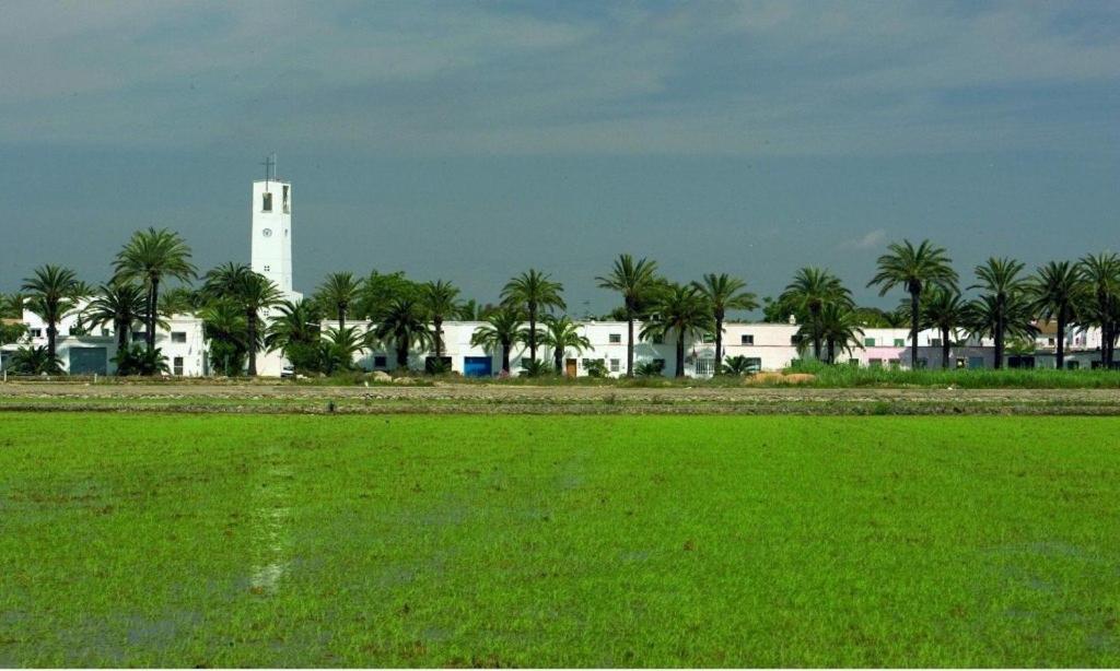 Lo Trabucador Casa Nueva En El Corazon Del Delta Villa El Poble Nou del Delta Bagian luar foto